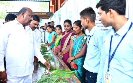 रानभाजी महोत्सवाला प्रतिसाद... पालकमंत्री संदीपान भुमरे यांनी केले उद्घाटन