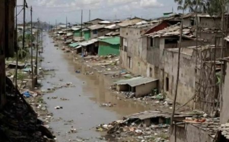 बघा छायाचित्र काढण्याची कला...हा फोटो बघितल्यावर सर्वप्रथम काय वाटते