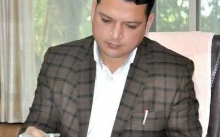 लंपी चर्मरोग आजाराबाबत सतर्क राहा- जिल्हाधिकारी अस्तिककुमार पाण्डेय