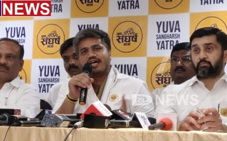 ओबीसी विरुद्ध मराठा वाद निर्माण करण्याचा प्रयत्न, बीड जाळपोळीच्या घटनेत प्रोफेशनल लोक...!