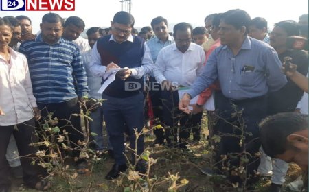 केंद्रीय पथकाद्वारे दुष्काळी स्थितीचा पाहणी, कधी मिळणार शेतकऱ्यांना मदत