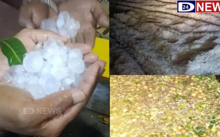 भोकरदन तालुक्यात गारपीट, वीज पडून दोन जण दगावले, पिकांचे नुकसान