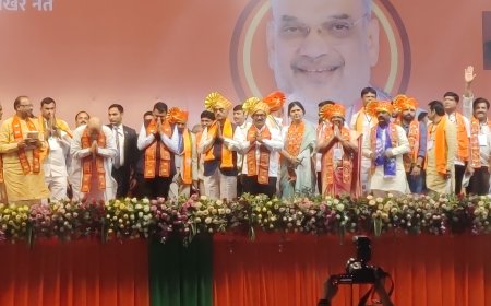 मजलिसला उखडून फेका, भाजपाला निवडून देण्याचे अमित शाह यांचे आवाहन