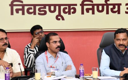 निवडणूक निष्पक्ष व पारदर्शक होण्यासाठी सुक्ष्म निरीक्षकांची भुमिका महत्वाची - जिल्हाधिकारी दिलीप स्वामी