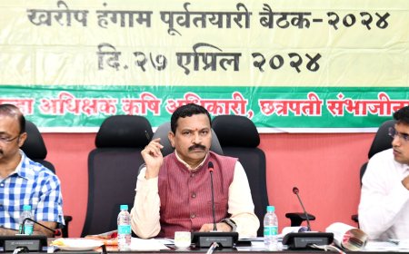 खरीप हंगाम आढावा बैठक, पेरणी सुरू होण्यापूर्वी पीक कर्ज, बियाणे, खते पोहचवा - जिल्हाधिकारी