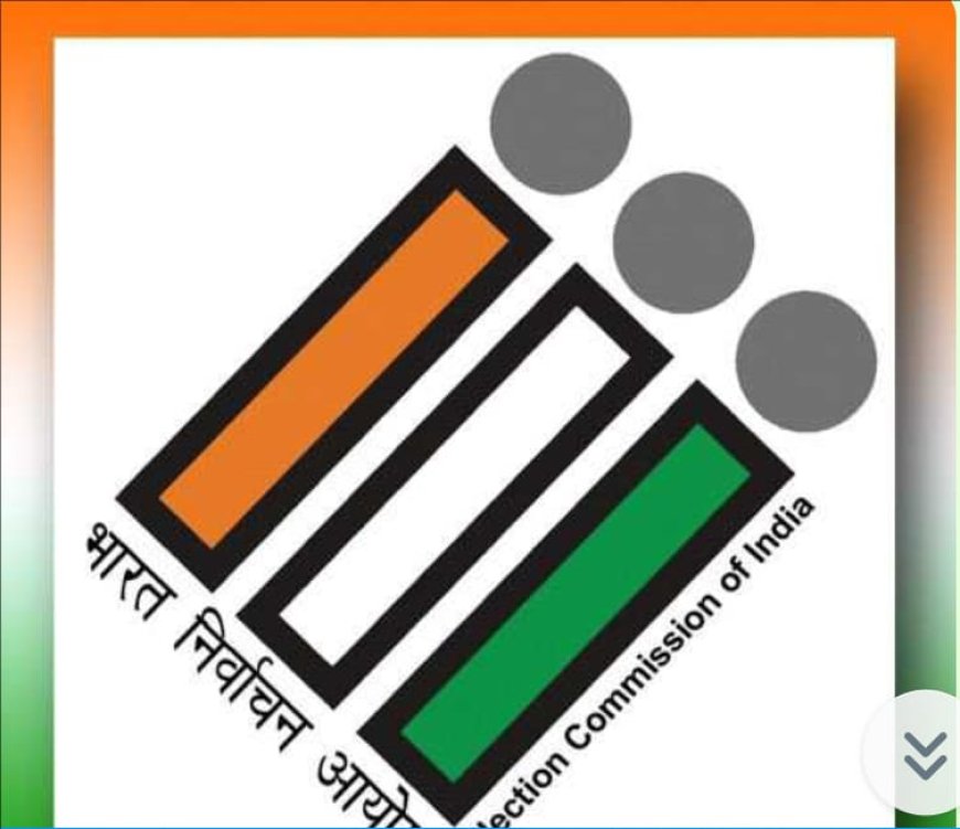 दुसऱ्या टप्प्यात 89 मतदारसंघात 64.70 मतदान, महाराष्ट्रात 53.71 टक्के मतदान