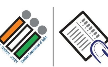 महाराष्ट्रात तिसऱ्या टप्प्यात 5 वाजेपर्यंत 53.40 टक्के मतदान