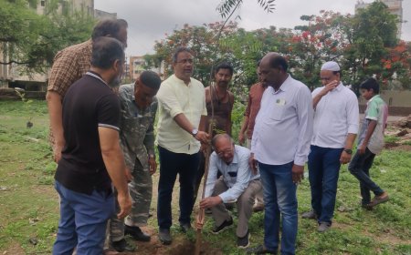 तापमान कमी करण्यासाठी करा वृक्षारोपण, शहरातील डॉक्टरांच्या टिमने केले शहरात वृक्षारोपण