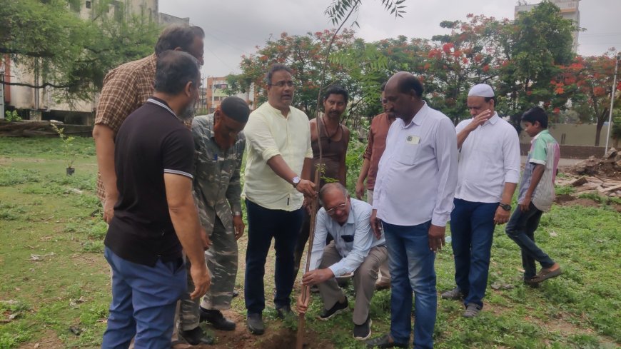 तापमान कमी करण्यासाठी करा वृक्षारोपण, शहरातील डॉक्टरांच्या टिमने केले शहरात वृक्षारोपण