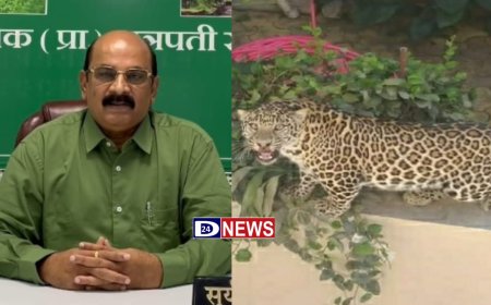 बिबट्या आतापर्यंत वनविभागाच्या हाती लागला नाही, उप वनसंरक्षक सुर्यकांत मंकावार यांचे नागरीकांना सतर्क राहण्याचे आवाहन