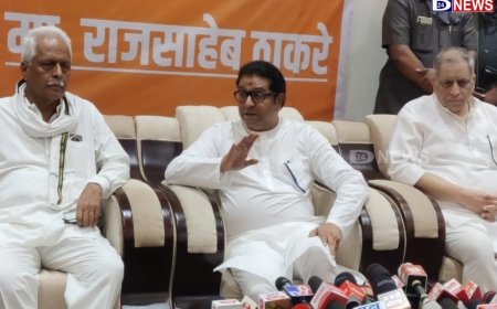 माझ्या नादी लागू नका...मनसेचे प्रमुख राज ठाकरेंनी कोणाला दिला इशारा...!