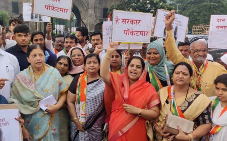 हे सरकार पाकीटमार - खासदार फौजिया खान