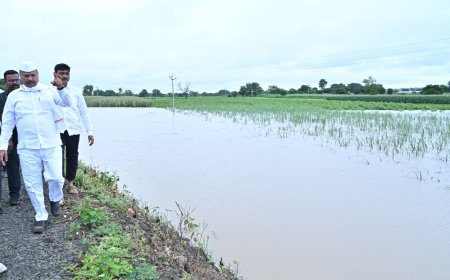 पालकमंत्र्यांनी केली अतिवृष्टीग्रस्त भागाची पाहणी, पंचनामे करण्याचे निर्देश