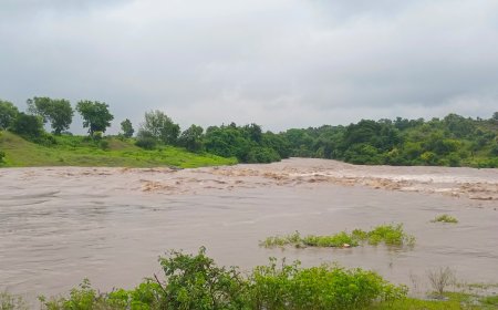 मुसळधार पावसामुळे 10 जणांचा बळी, मराठवाड्यात 523 जनावरे दगावली, अनेक घर व पिकांचे नुकसान