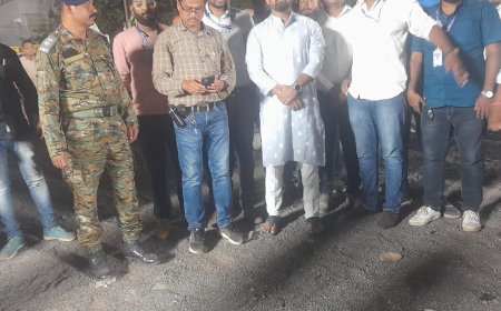 प्रशासकांनी केली विसर्जन विहीर, कृत्रिम तलावांची पाहणी