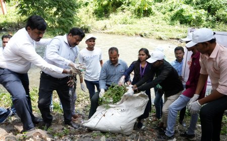 खाम नदी परिसरात स्वच्छता ही सेवा "एक पेड माँ के नाम" अंतर्गत मोठ्या प्रमाणात वृक्षारोपण व स्वच्छता मोहीम