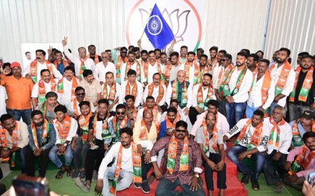 ब्रीजवाडीतील युवकांचा भाजपात जाहीर प्रवेश, माजी नगरसेवक भरत लकडे यांनीही केला प्रवेश