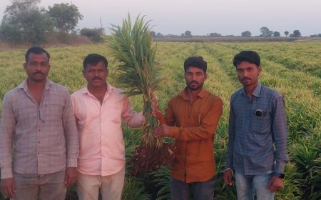 अद्रकचे भरघोस उत्पादन घेऊन शेती करणारे तरुण शेतकरी संतोष लालगिर गिरी