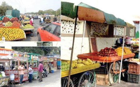 रस्त्यावर फेरीवाल्यांनी व्यवसाय न करता गल्लीत करावे, समितीचा निर्णय