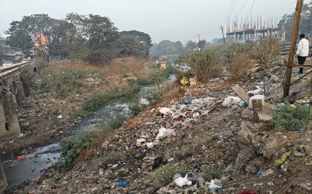 सुखना पुनर्जीवन अंतर्गत चिकलठाणा येथील पुला खालील नदीची सफाई सुरू