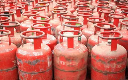 घरगुती गॅस 50 रुपयांनी महागला, पेट्रोल डिझेलचे उत्पादन शुल्क वाढले, विरोधीपक्षाची टिका