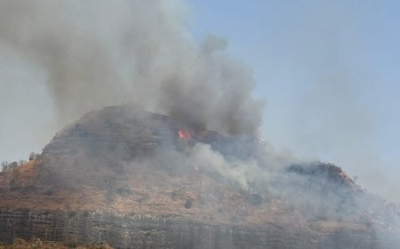 दौलताबाद किल्ला परिसरात आग, आग आटोक्यात आणण्यासाठी शर्थीचे प्रयत्न...!