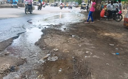 हिमायतबाग ते दिल्लीगेट रोडवर पाण्याची नासाडी रोखण्यासाठी मनसेची मागणी