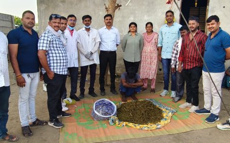 अडीच लाखांचा गांजा पकडला, अंमली पदार्थ विरोधी पथकाची कारवाई...