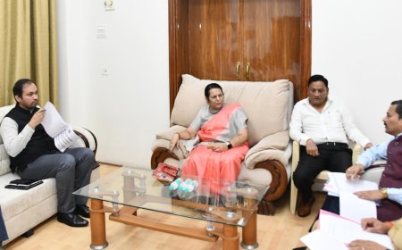 जास्तीत जास्त भूभागावर वीज यंत्रे बसवा - डाॅ.निलम गो-हे