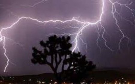 मराठवाड्यात विजेचा तांडव, वीज पडून 2 ठार 3 गंभीर जखमी, 26 जनावरे दगावली, अनेक घरांचे पत्रे उडाले.....