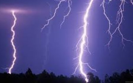 पुढील तीन दिवस महत्वाचे काळजी घ्या, मुसळधार पावसाचा हवामान विभागाचा अलर्ट