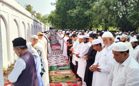 शहरात ईद-उल-अजहा उत्साहात साजरी...