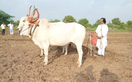 विरोधीपक्षनेते अंबादास दानवे यांनी घेतला खरिपाच्या पेरणीचा अनुभव