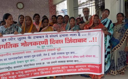 मोलकरणीसाठी विना विलंब कायदा करा - सुभाष लोमटे