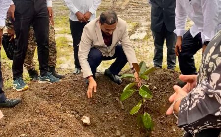 वृक्षारोपण व युवा संवाद उपक्रमात जिल्हाधिकारी दिलीप स्वामी यांचे मार्गदर्शन
