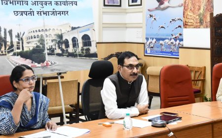 नाविन्यपूर्ण कार्यक्रमांचे आयोजन करुन महसूल सप्ताह यशस्वी करा - जितेंद्र पापळकर