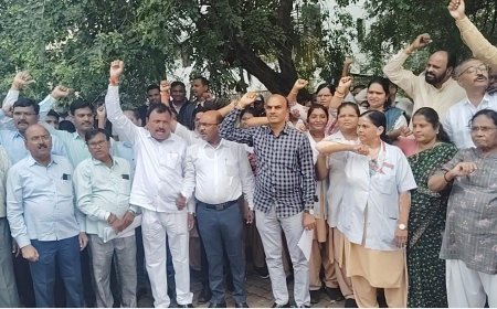 प्रलंबित मागण्यासाठी राज्य सरकारी कर्मचा-यांचे जिल्हाधिकारी कार्यालयासमोर निदर्शने