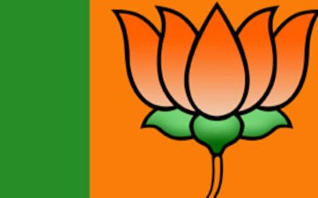 भाजपाची शहर कार्यकारीणी घोषित, नवीन चेह-यांना संधी...