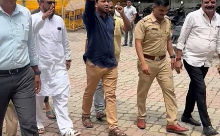 बोगस जन्मप्रमाणपत्र प्रकरण चिघळले, एमआयएमचा सोमय्यांना विरोध, कार्यकर्त्यांना अटक...