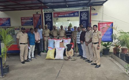 गांजाचा साठा करुन विक्री करणारा गजाआड, 29 किलो गांजा जप्त...