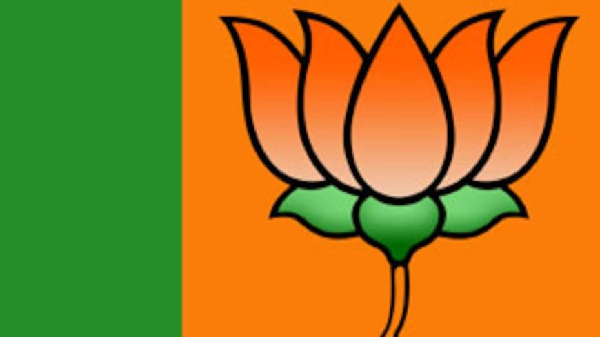 भाजपाची शहर कार्यकारीणी घोषित, नवीन चेह-यांना संधी...