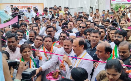 अतिवृष्टीमुळे शेतकऱ्यांचे मोठे नुकसान, पंचनाम्यातचे दिले आदेश - उपमुख्यमंत्री अजित पवार