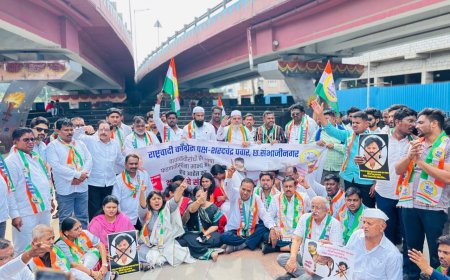 पडळकरांच्या विरोधात राष्ट्रवादी अक्रामक, केले जोडेमारो आंदोलन...