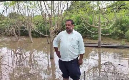 नाल्याचा नैसर्गिक प्रवाह अडवल्याने गेवराई येथील शेतकऱ्याचे पिके पाण्यात...