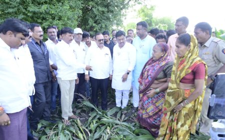 मंत्री अतुल सावे शेतकऱ्यांच्या बांधावर, दिले पंचनाम्यातचे आदेश