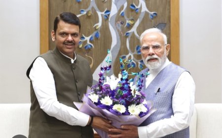 मुख्यमंत्री देवेंद्र फडणवीस यांनी घेतली पंतप्रधान नरेंद्र मोदींची भेट...