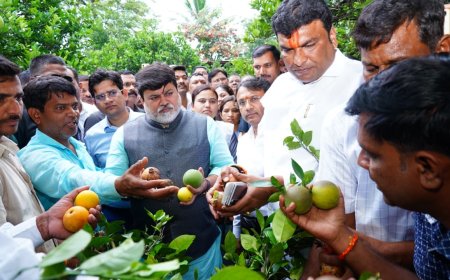 उद्योगमंत्री उदय सामंत यांची अतिवृष्टी नुकसानग्रस्त भागाची पाहणी...