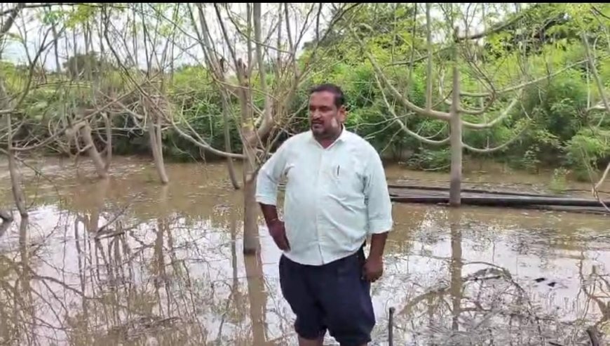 नाल्याचा नैसर्गिक प्रवाह अडवल्याने गेवराई येथील शेतकऱ्याचे पिके पाण्यात...