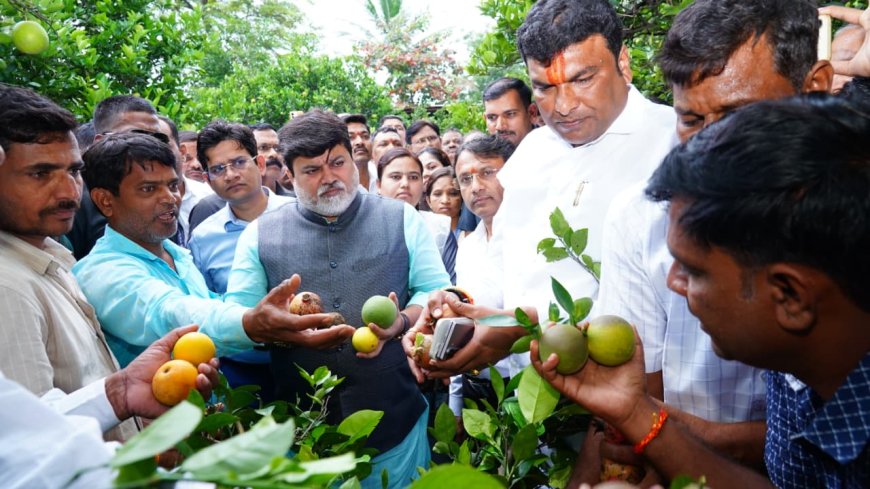 उद्योगमंत्री उदय सामंत यांची अतिवृष्टी नुकसानग्रस्त भागाची पाहणी...