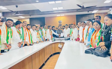 ओला दुष्काळ तात्काळ जाहिर करा, शेतकऱ्यांना तात्काळ मदत द्या - आमदार रोहीत पवार